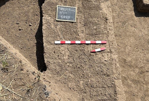 Archaeologists have uncovered the remains of the long-lost Egyptian city of Imet. Revealing the foundations of 2,500-year-old multi-storey 'tower buildings' and temple structures (pictured)
