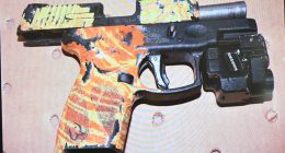 gun suicides record year 2023