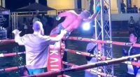 Ivan Parshikov suffered an electric shock then collapsed at a 'Weed Boxing' event in Thailand