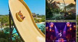 Bring on the heat: Spring for a family fiesta south of the border
