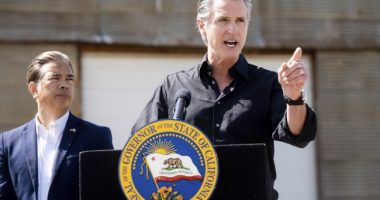 California's Ethnic Studies Mandate May Be in Trouble