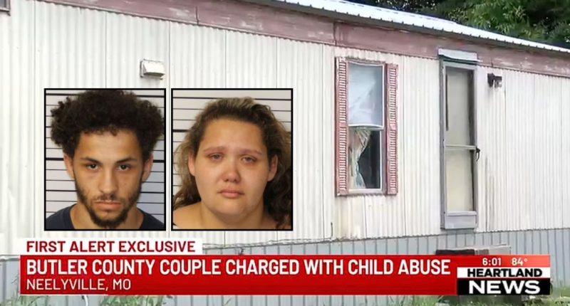Child forced to sleep on entertainment center to ‘get away’ from the ‘hundreds of black flies and cockroaches’ in parent’s filthy home: Police