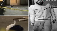 Crazed stalker stabs two good Samaritans walking NYC woman who thought she was being followed home