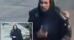 Creep allegedly told random women they had a spider walking on them — and then groped them: NYPD