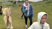 Dan Osborne and Jacqueline Jossa fly to Ireland for family holiday after his texts to Christine McGuinness were revealed