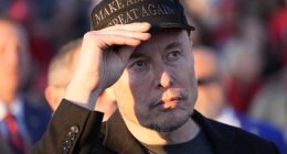 Dems Suddenly Forget They Called Musk a Nazi for Four Months