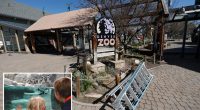 Denver zoo closes early over the weekend to prevent wild teens from pulling off TikTok-inspired ‘takeover’ trend