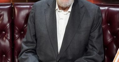 Dick Van Dyke sparked concern after dropping out of an event last-minute due to illness; pictured December 2024