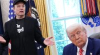 Elon Musk Accidentally Confirms He's Feeling The Post-Trump Breakup Blues