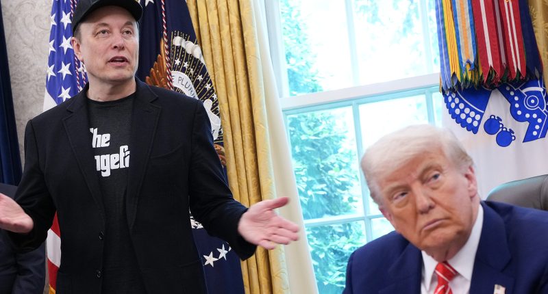 Elon Musk Accidentally Confirms He's Feeling The Post-Trump Breakup Blues