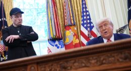 Elon Musk Seemingly Puts Final Nail In The Coffin Of His Bromance With Trump