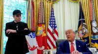 Elon Musk and Donald Trump's bromance spectacularly combusted this week