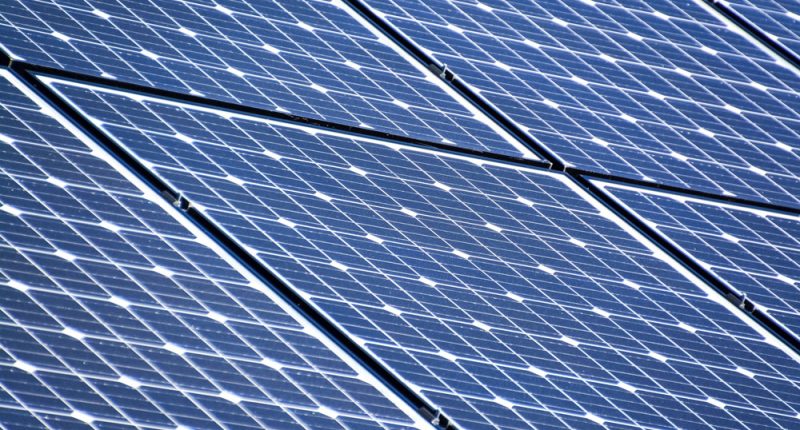 Energy Association Warns Florida Could Lose Up to 21,800 Solar Jobs If President’s Tax Bill Is Enacted