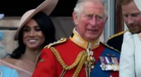 Expert Shares King Charles’ Reaction as ‘Horrified’ Over Meghan’s Twerking Video