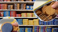 Fan-favorite Oreo flavor makes a triumphant return for a limited time — here’s how to get your hands on a pack