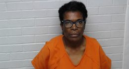 Foster Mother Leaves 7-Month-Old Baby to Die in Hot Minvian, Marking 6th Pediatric Vehicular Heatstroke This Year