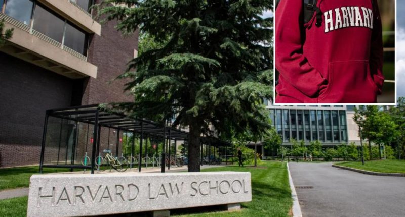 Harvard Law Review retaliated against student who allegedly sparked federal discrimination probe: report