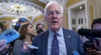 Hmmm: Cornyn on the Ropes in Texas?