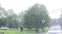 The area near the terrifying strike was roped off with yellow police tape for about an hour as rain continued to pour over the park
