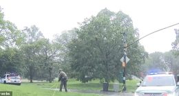 The area near the terrifying strike was roped off with yellow police tape for about an hour as rain continued to pour over the park