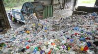 How Single-Stream Recycling Works, and What You Can Do to Make It Better