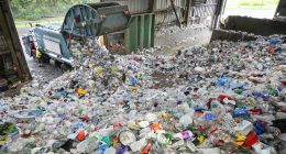 How Single-Stream Recycling Works, and What You Can Do to Make It Better
