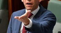 Andrew Giles previously introduced controversial immigration guideline Direction 99, which has been exploited by some violent offenders to avoid deportation