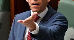 Andrew Giles previously introduced controversial immigration guideline Direction 99, which has been exploited by some violent offenders to avoid deportation