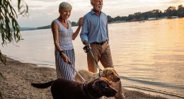 Australia's biggest super fund has debunked the idea that $1million is needed for a comfortable retirement - revealing only half that amount is required (pictured is a stock image)
