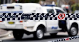 A joint AFP and NSW Police taskforce has contacted parents and carers of children who may have been in contact with a childcare worker alleged to have acted inappropriately