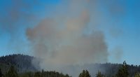 Authorities say the killer started a brush fire, seen here, to lure firefighters onto Canfield Mountain