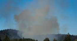 Authorities say the killer started a brush fire, seen here, to lure firefighters onto Canfield Mountain