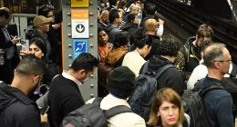 Immigration levels are soaring under Anthony Albanese with almost two-thirds of new foreigners moving to Sydney (pictured) and Melbourne