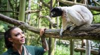 Jodie Marsh weeps in court after being told she can keep lemurs at her animal sanctuary