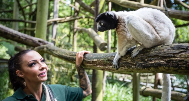 Jodie Marsh weeps in court after being told she can keep lemurs at her animal sanctuary
