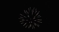 july 4 palm coast 2024