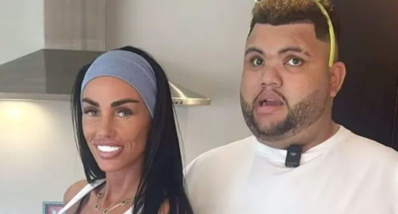 Katie Price cruelly slammed by mum-shaming trolls as she poses with son Harvey at home