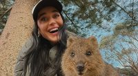 Katy Perry turns off Instagram comments on Australia trip with daughter as Orlando Bloom parties in Italy after split