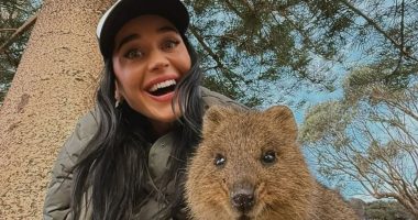 Katy Perry turns off Instagram comments on Australia trip with daughter as Orlando Bloom parties in Italy after split