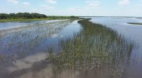 Lake Kissimmee. (Savanna Mathis/FWC)