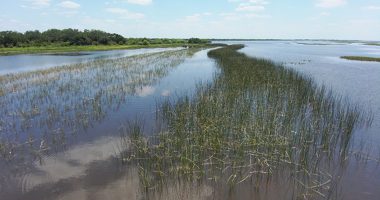 Lake Kissimmee. (Savanna Mathis/FWC)