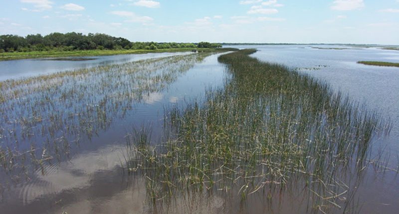 Lake Kissimmee. (Savanna Mathis/FWC)