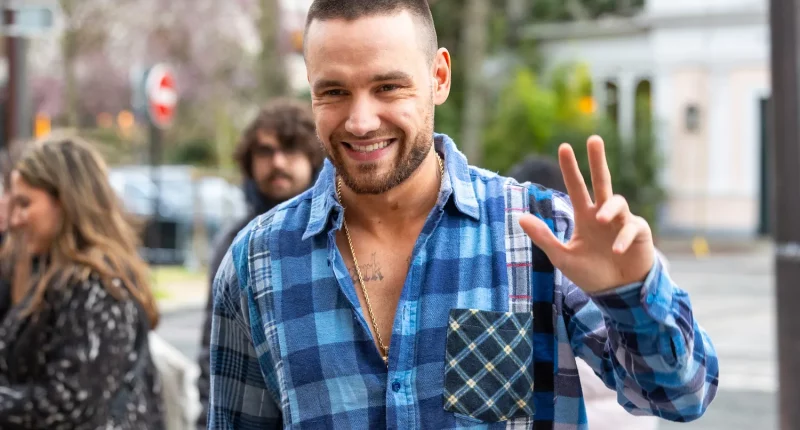 Late One Direction Star Liam Payne Will Appear in New Netflix Show