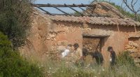 A worker could be seen using a spade to dig ground along the side of a rundown building, while others wearing gloves were seen carrying branches away