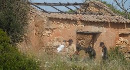 A worker could be seen using a spade to dig ground along the side of a rundown building, while others wearing gloves were seen carrying branches away