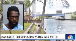 Man accused of pushing woman into river made sure his police interview ended abruptly: Cops