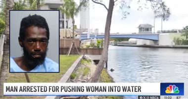 Man accused of pushing woman into river made sure his police interview ended abruptly: Cops