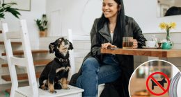 Man confronts woman with dog inside ‘no pets’ coffee shop — sparking heated debate