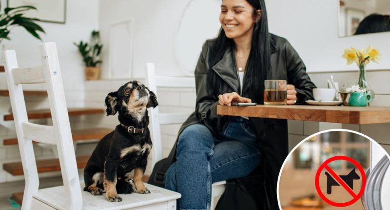 Man confronts woman with dog inside ‘no pets’ coffee shop — sparking heated debate