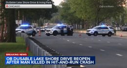 Man killed in hit-and-run crash on DuSable Lake Shore Drive near Lakeview, Chicago police say